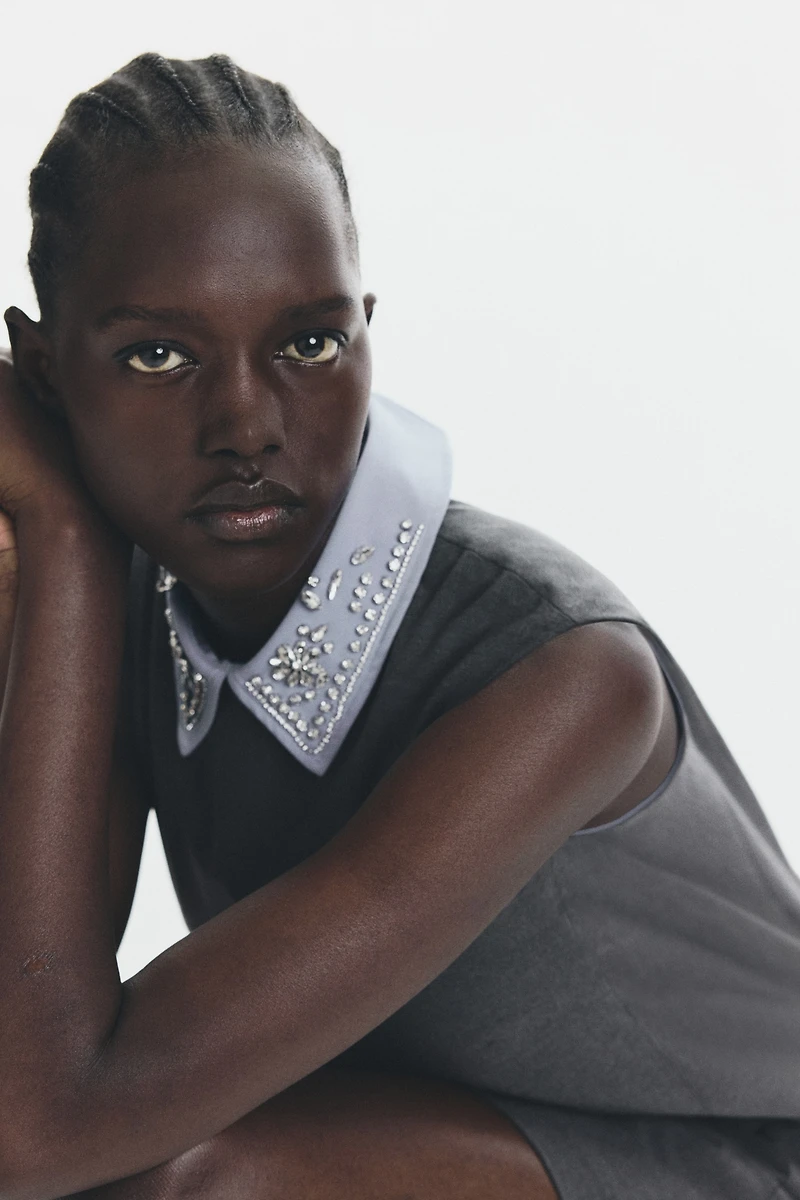 Embellished-Collar A-Line Dress