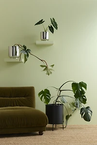 Extra-Large Plant Pot with Stand