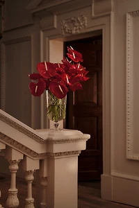 Large Footed Glass Vase