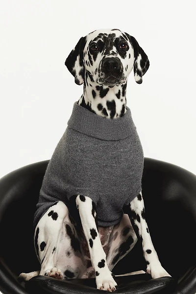 Fine-Knit Dog Sweater