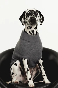 Fine-Knit Dog Sweater
