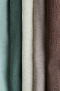 5-Pack Cotton Jersey Shorts