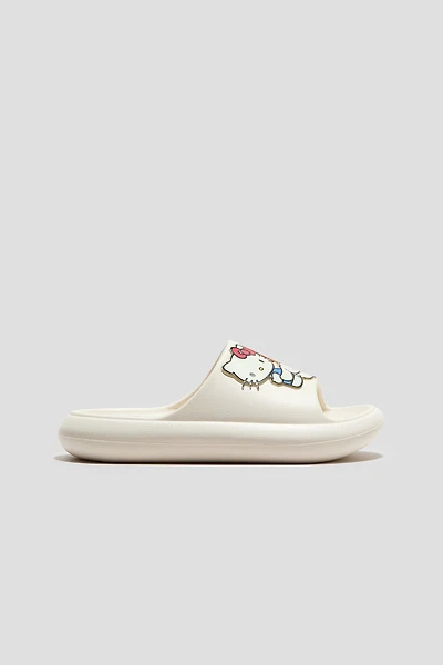 Molded Pool Slide Shoes