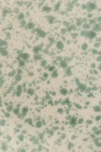 Stoneware Appetizer Plate