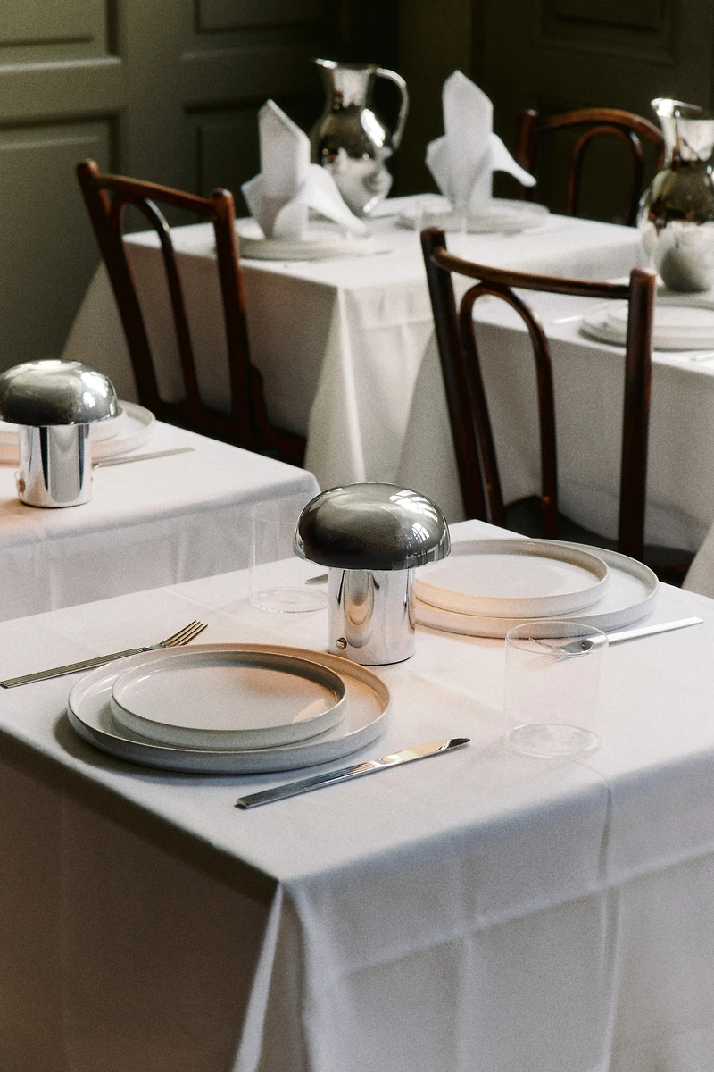 2-Pack Stoneware Dinner Plates