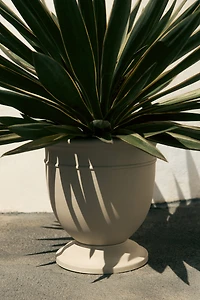 Grand pot de fleurs en métal