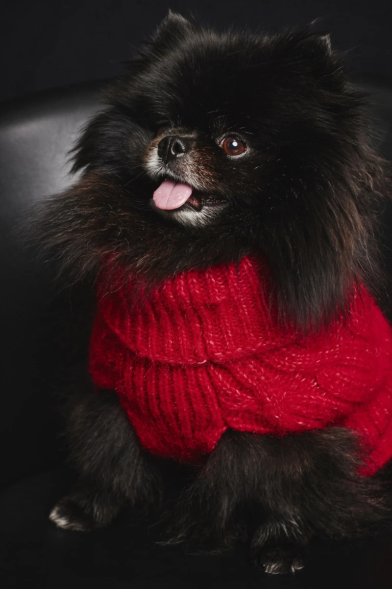 Cable-knit Dog Sweater