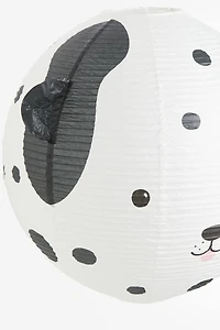 Rice Paper Lampshade