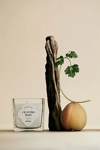 Scented Candle in Glass Holder