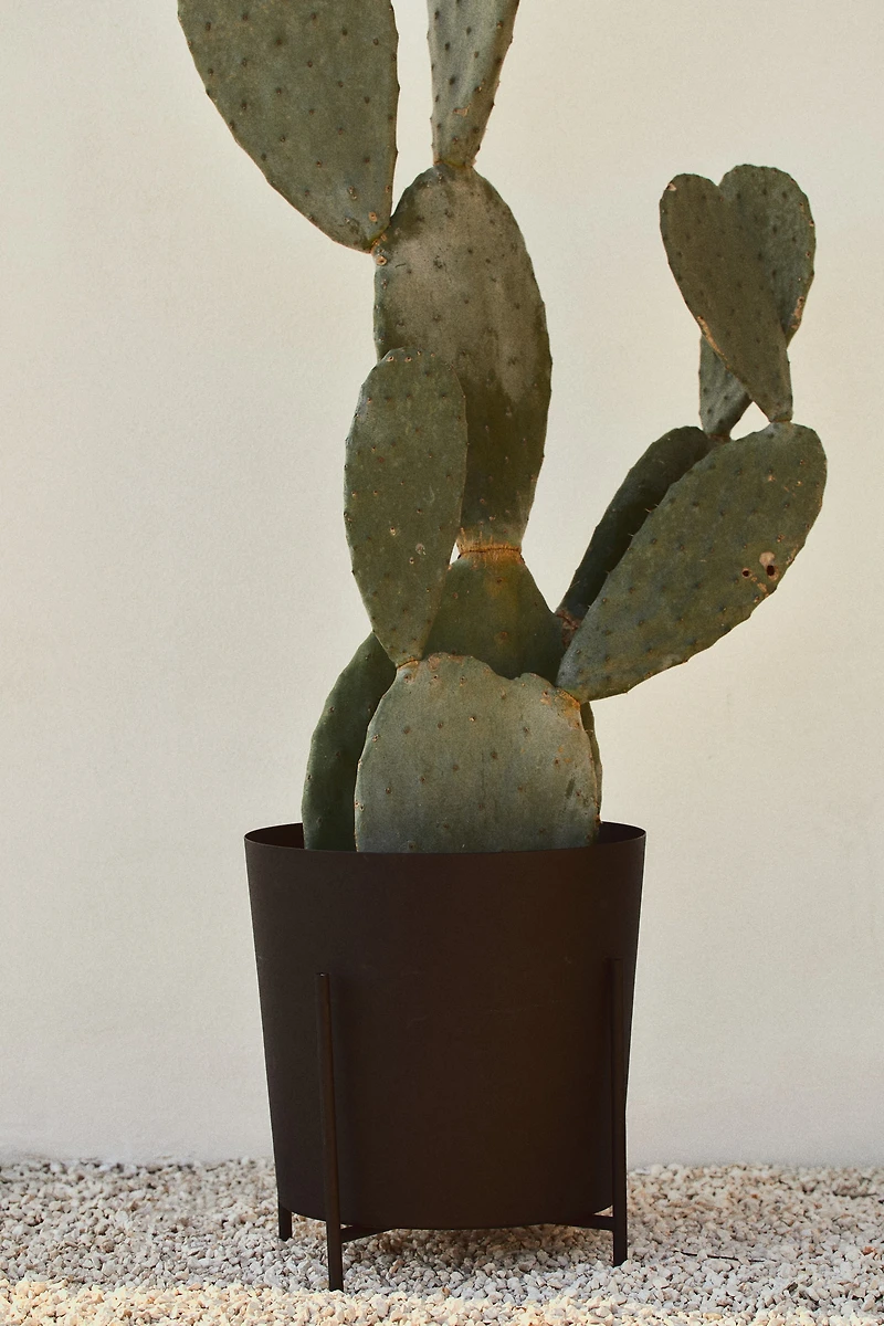 Extra-large Plant Pot with Stand