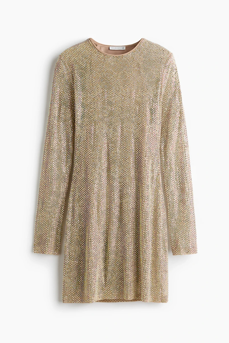 Embellished Lace Mini Dress