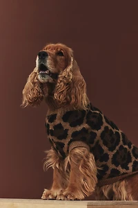 Jacquard-knit Dog Sweater