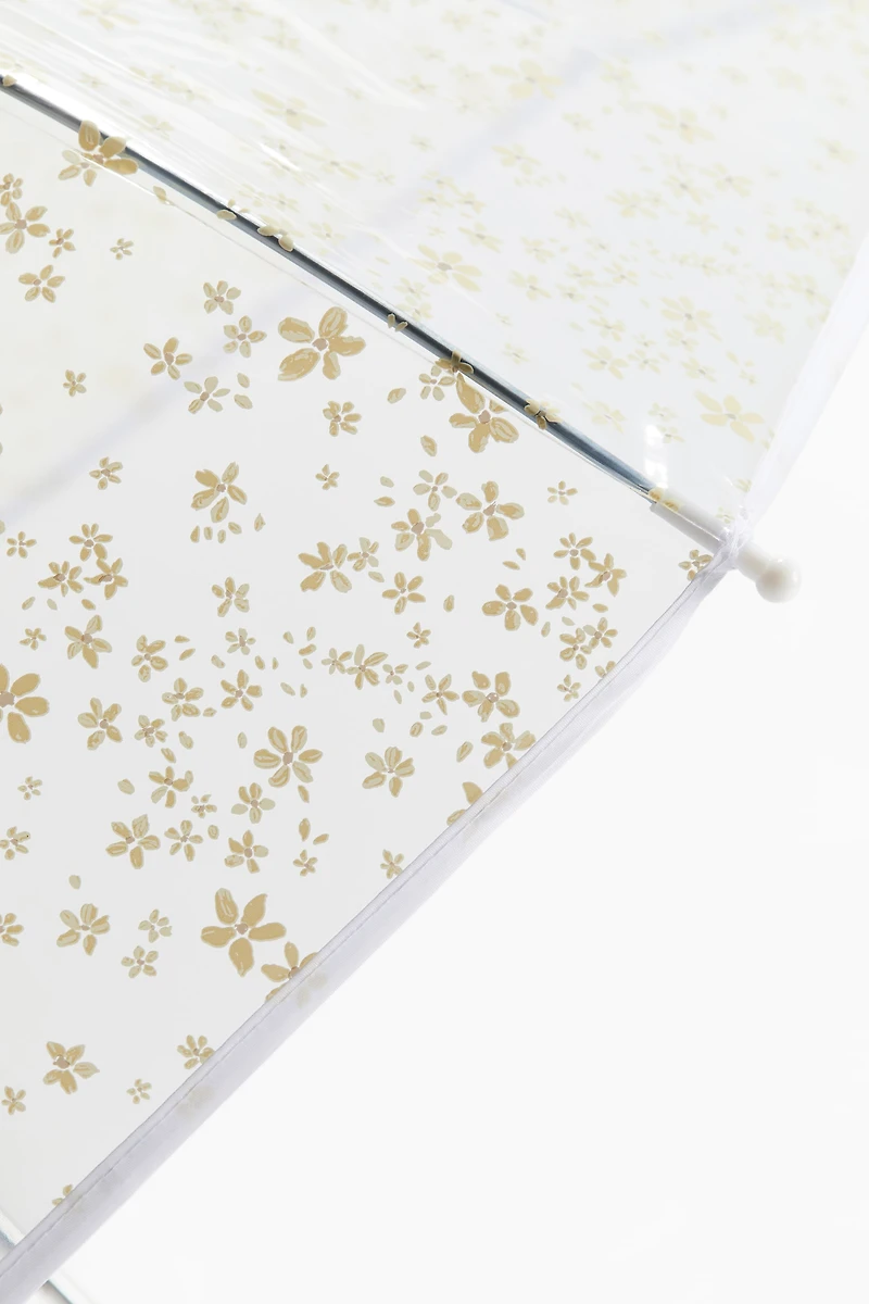 Transparent Umbrella