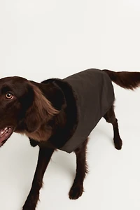 Manteau ciré pour chien