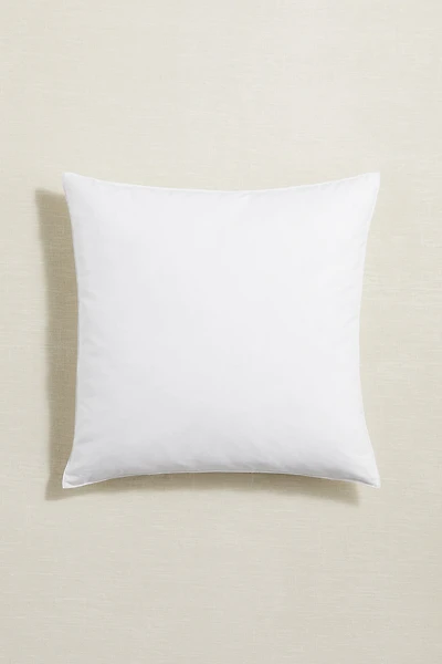 Feather-filled Inner Cushion