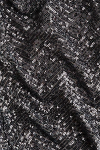 Sequined Pants