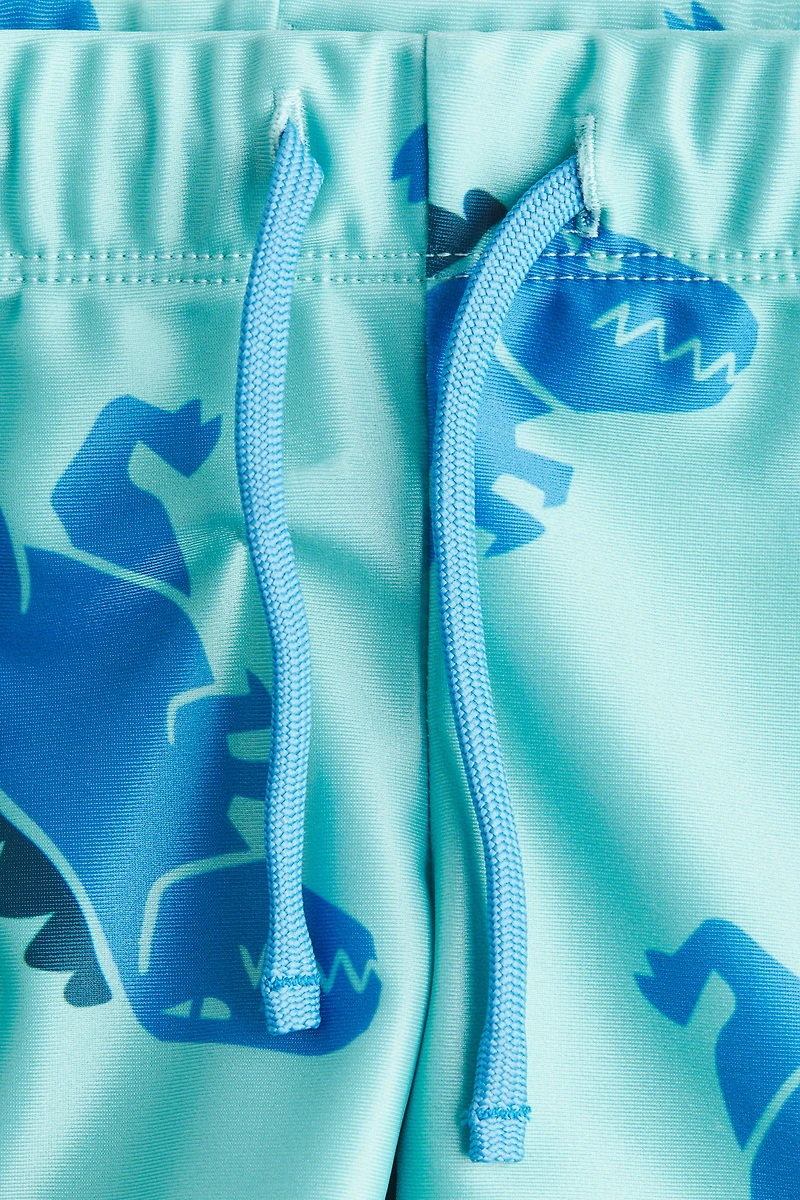 Printed Swim Trunks
