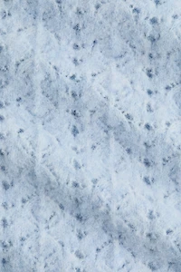 Pointelle-Knit Off-the-Shoulder Sweater