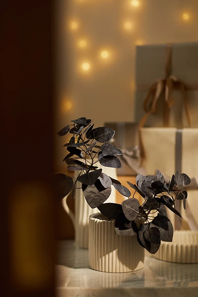 Stoneware Plant Pot