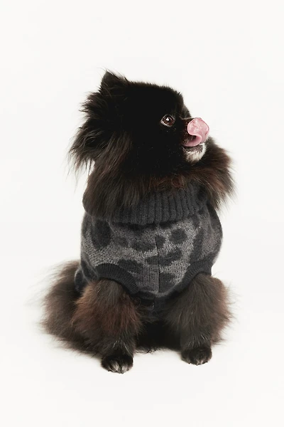 Chandail jacquard pour chien