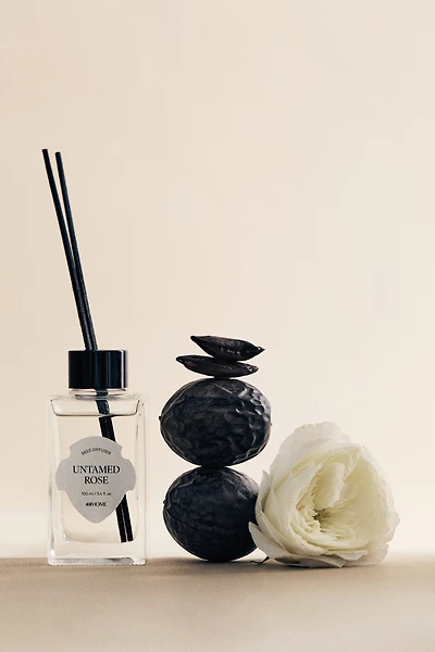 Diffuseur à bâtonnets