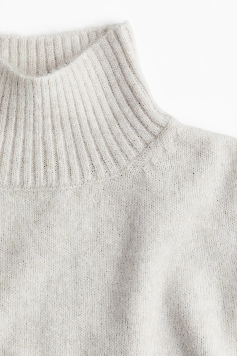 Knit Mock Turtleneck Dress