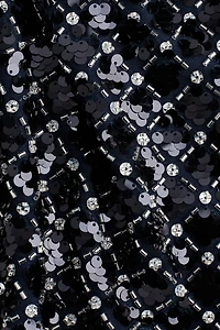 Embellished Mini Skirt