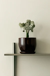 Pot de fleurs en terre cuite avec soucoupe