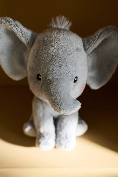 Soft Toy