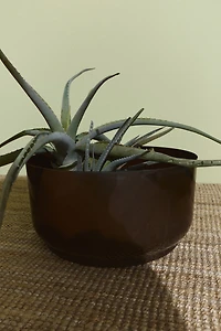 Wide Plant Pot in Metal