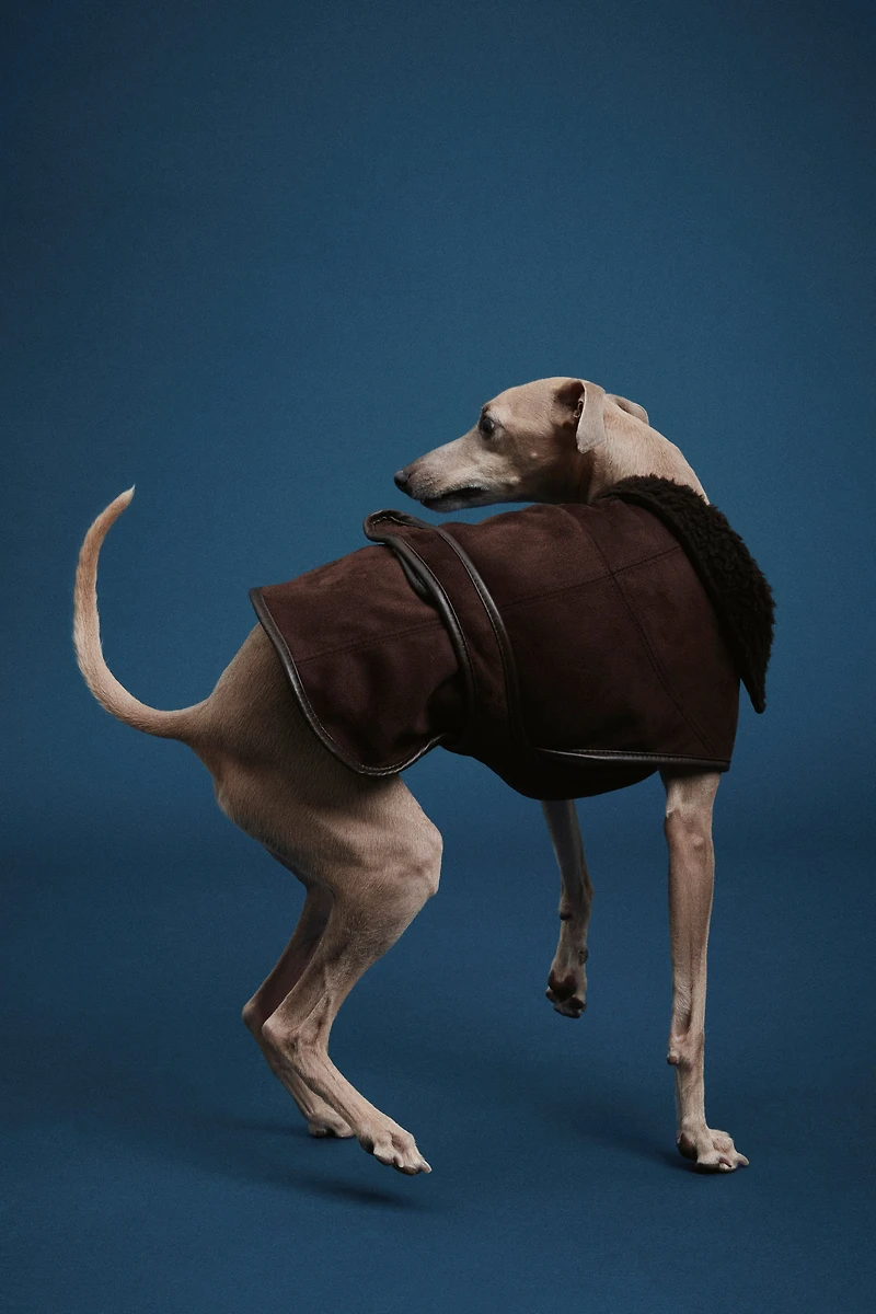 Teddy-Fleece-Lined Dog Coat