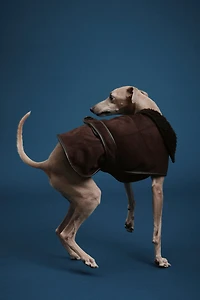 Teddy-Fleece-Lined Dog Coat