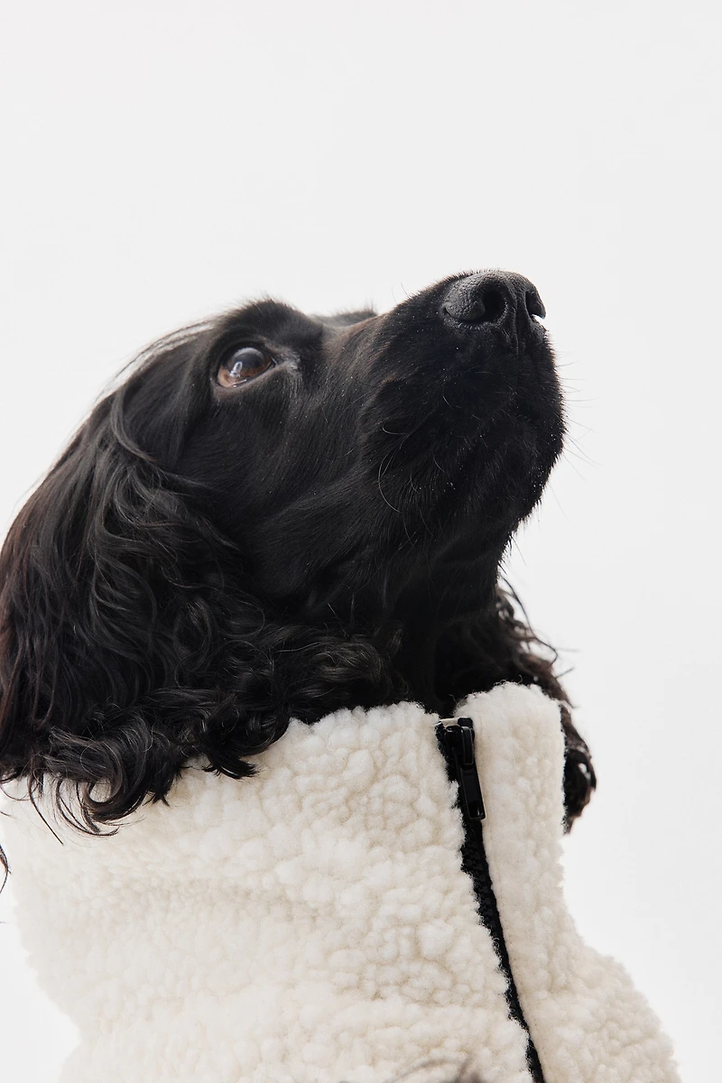 Teddy Fleece Dog Jacket