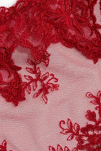 Embroidered Thong Briefs