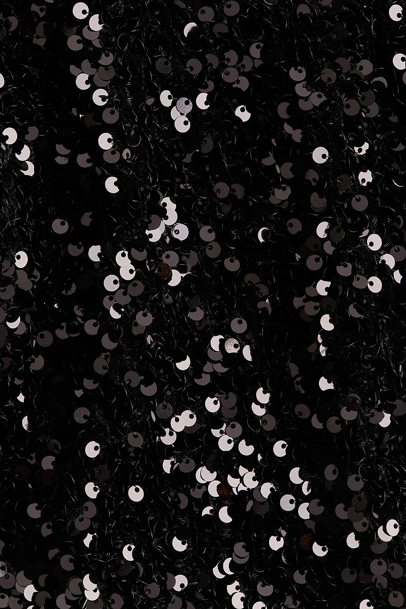 Sequined Blouse