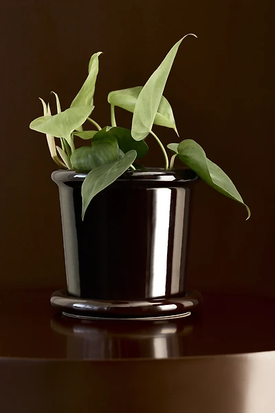 Pot de fleurs en grès cérame avec soucoupe