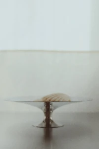 Footed Stainless Steel Bowl