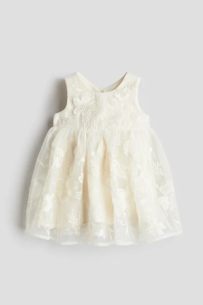 Embroidered Organza Dress