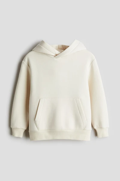 Kangourou à l'intérieur brossé