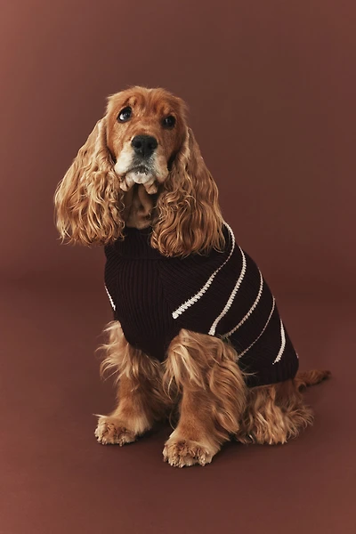 Chandail pour chien en tricot côtelé