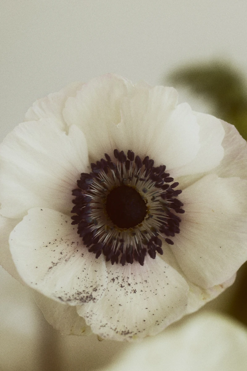 Grand vase d'inspiration marine en grès cérame