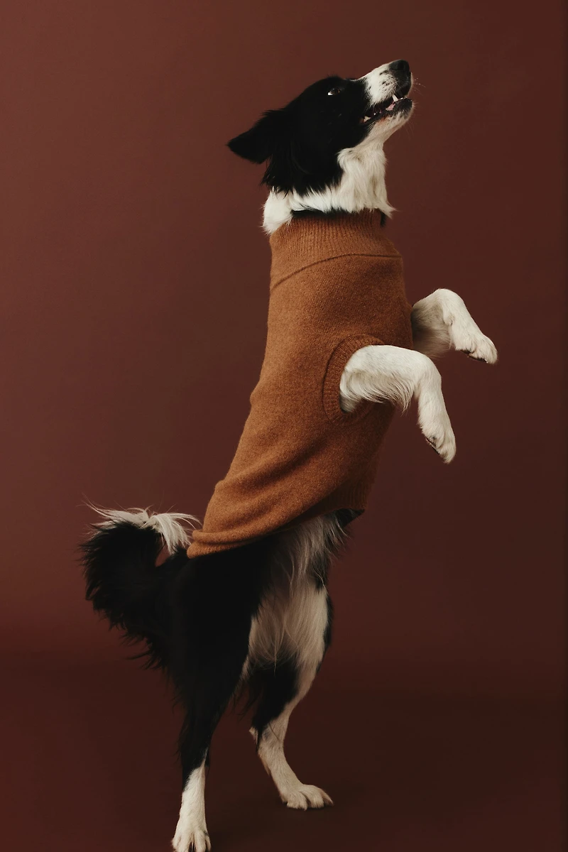 Fine-Knit Dog Sweater