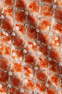 Embellished Mini Skirt