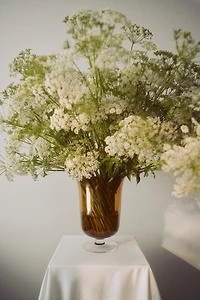 Footed Glass Vase