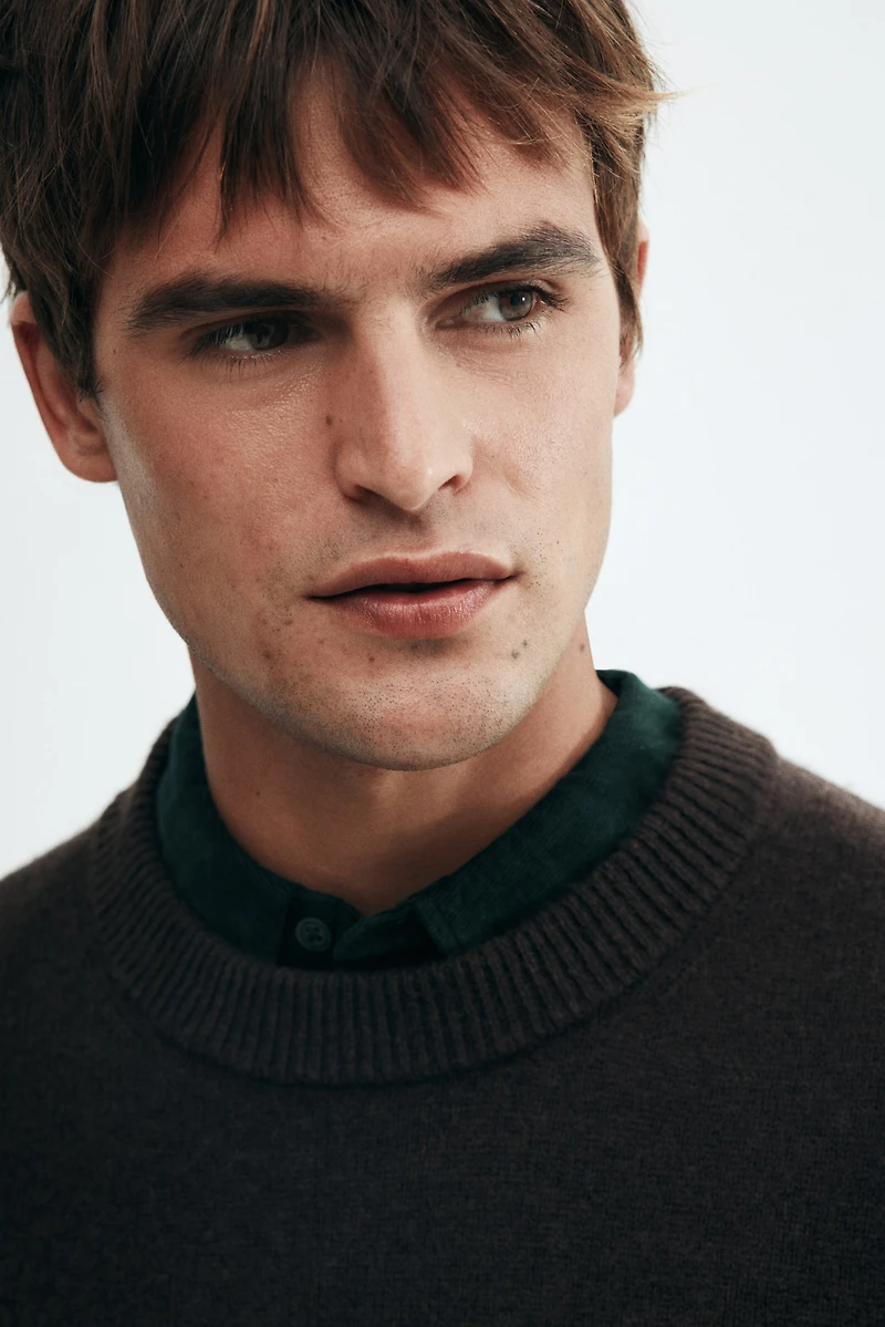 Regular-Fit Fine-knit Wool Sweater