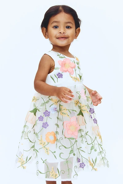 Embroidered Organza Dress