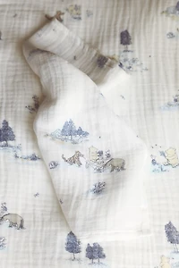 2-Pack Patterned Muslin Cloths