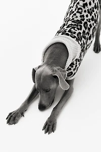 Jacquard-knit Dog Sweater