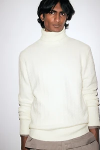 Regular Fit Turtleneck Sweater