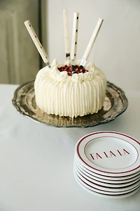 4-Pack Small Porcelain Plates